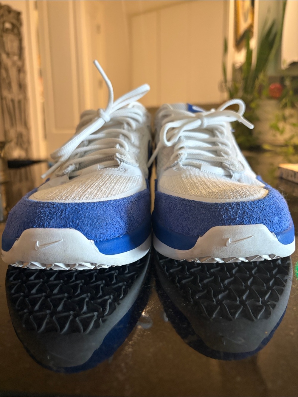 Nike SB Men’s White and Blue Low-Top Sneakers - Picture 4 of 5